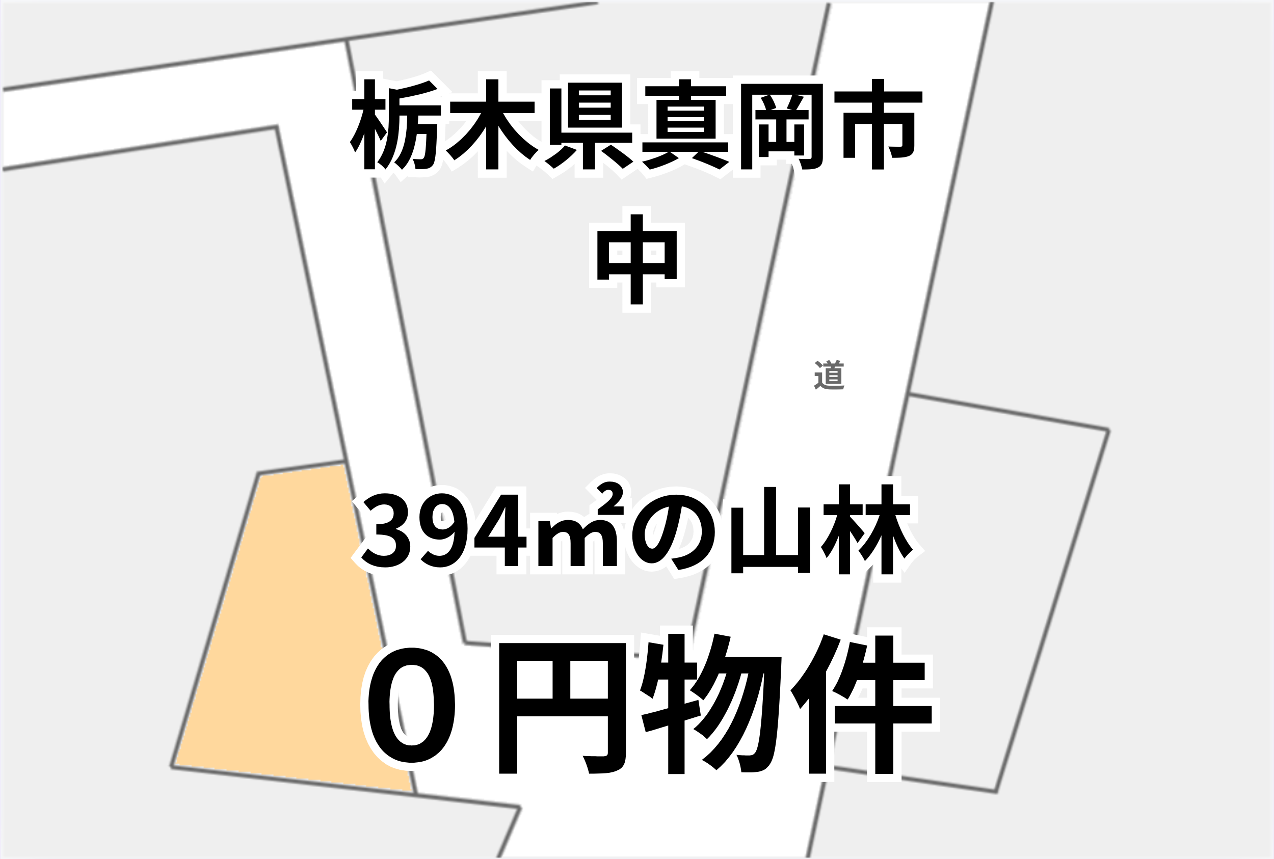 394㎡の山林、お譲りします。