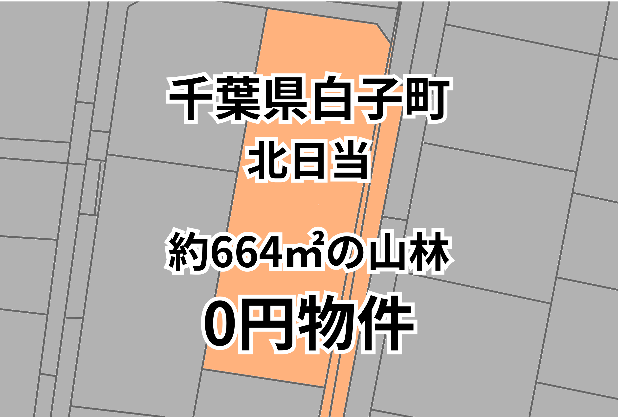 約664㎡の山林をお譲りします。