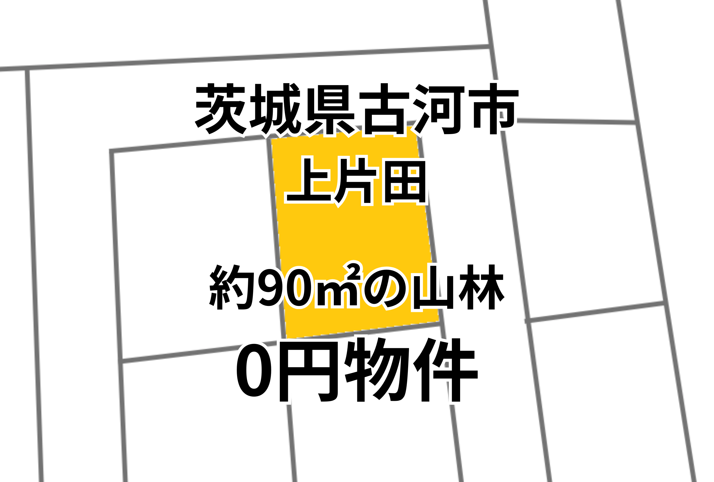 約90㎡の山林をお譲りします。