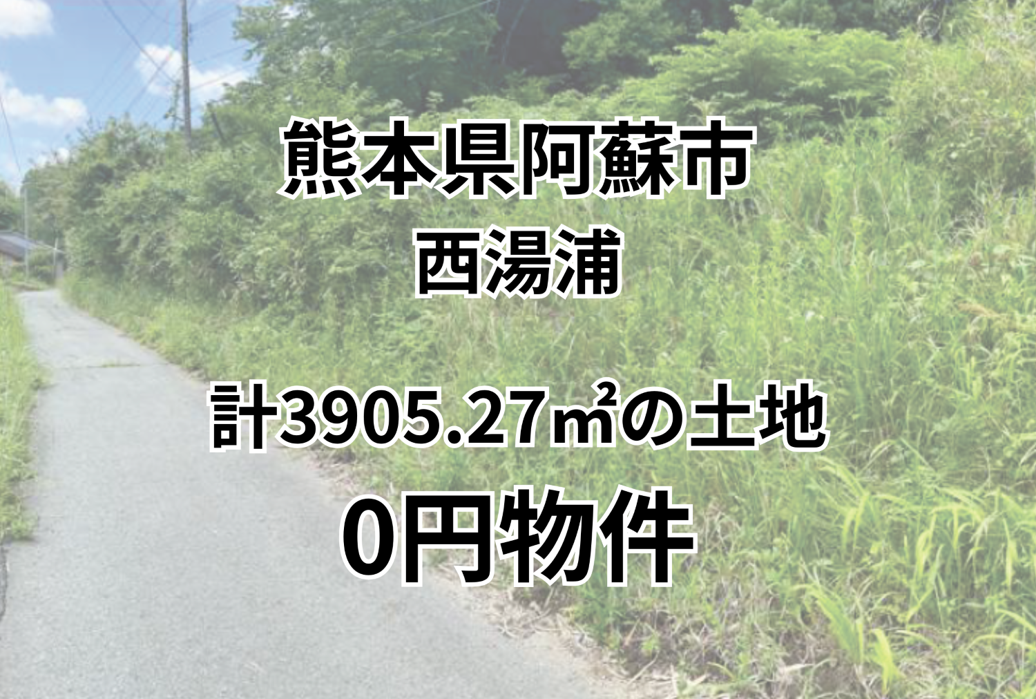 計3905.27㎡の土地をお譲りします。